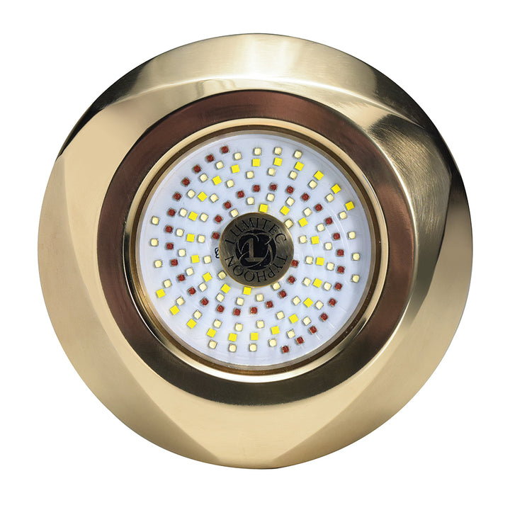 Lumitec SeaBlaze Typhoon Underwater Bronze ThruHull LED Light  WhiteBlue 101448