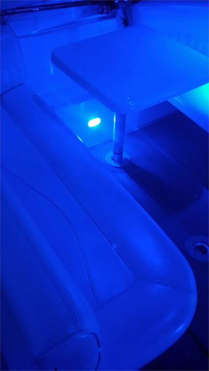 Blue LED Courtesy Light bulb